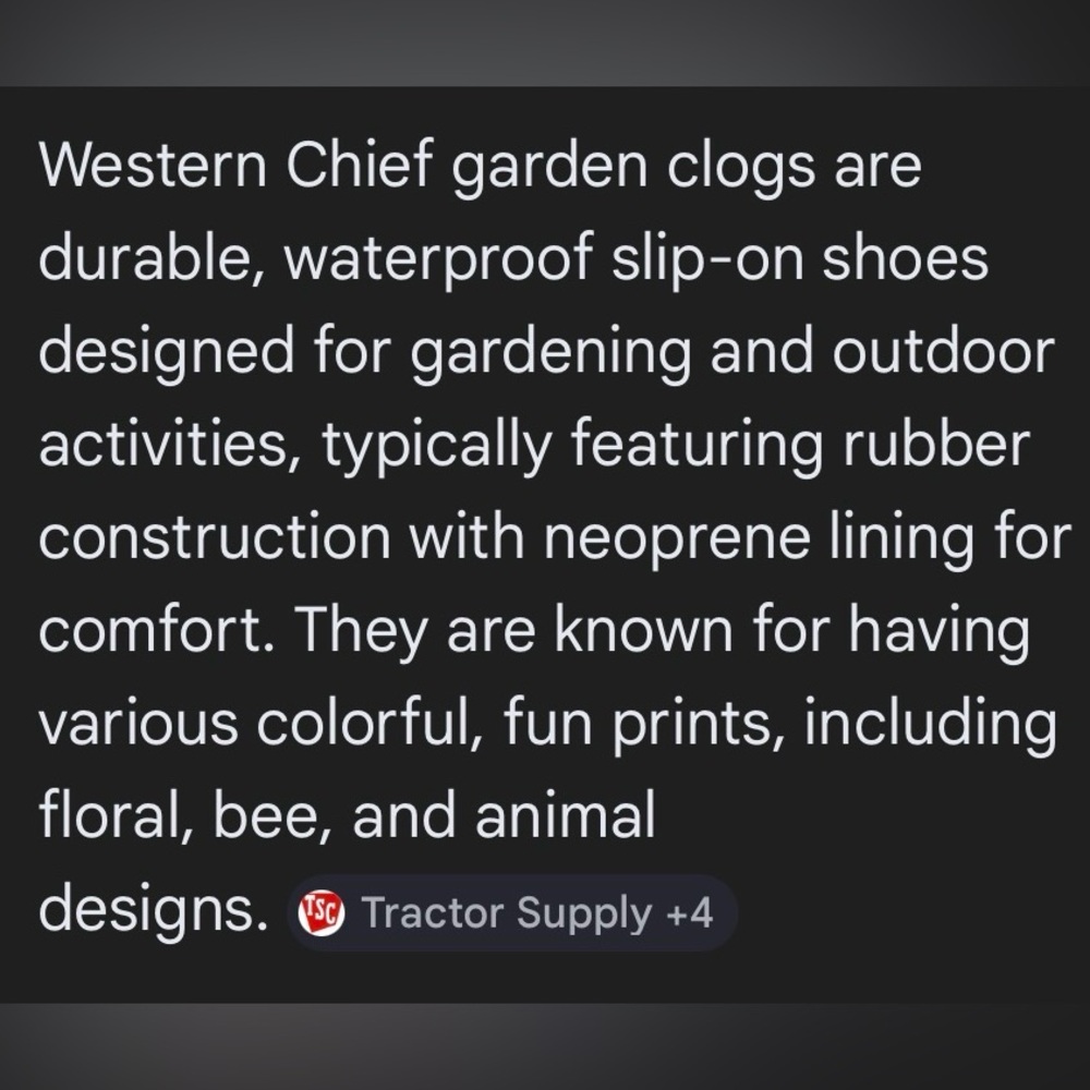 Western Chief Clogs - Picture 4 of 16
